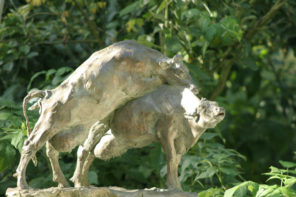 galerie de Beeldenstorm - Beelden in brons koe rund - Greta Van Puyenbroeck
