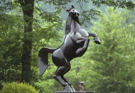Paarden Expositie - Galerie Beeldentuin De Beeldenstorm