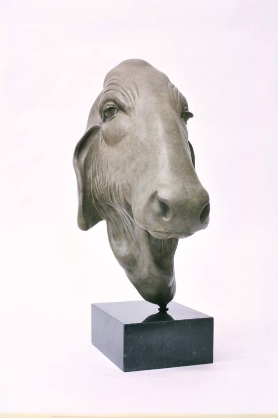 Aziatische koe - Renee Marcus Janssen - beeldhouwer - beelden in brons - galerie Beeldenstorm