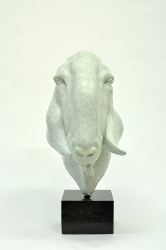 Nubische geit Bok - Renee Marcus Janssen - beeldhouwer - beelden in brons - galerie Beeldenstorm